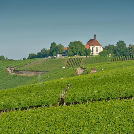 فندق Vogelsburg Escherndorf المظهر الخارجي الصورة