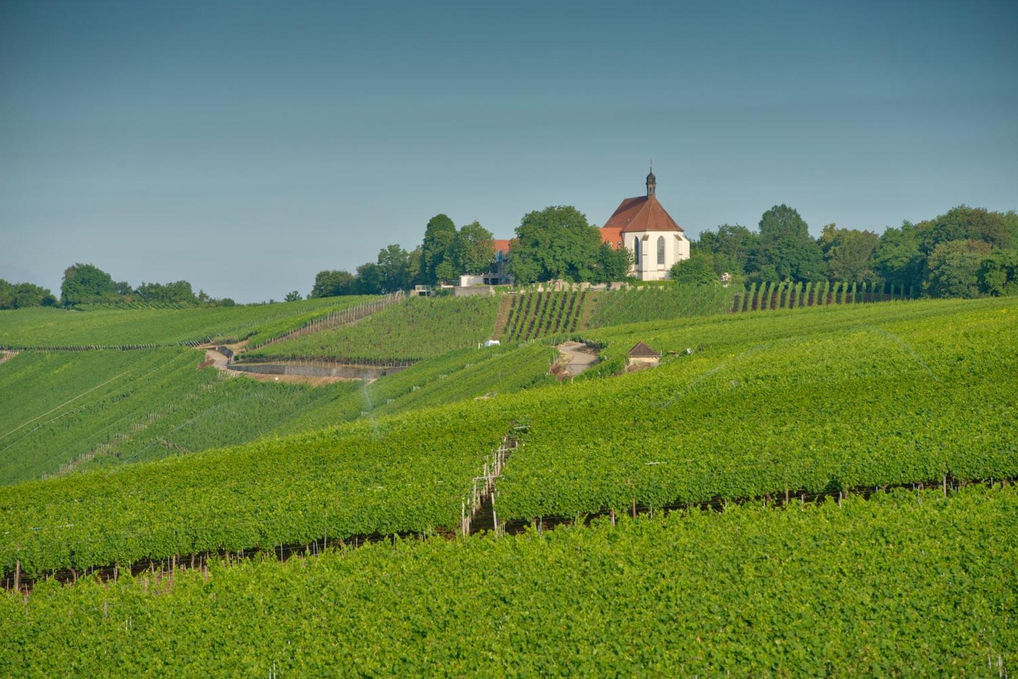 فندق Vogelsburg Escherndorf المظهر الخارجي الصورة