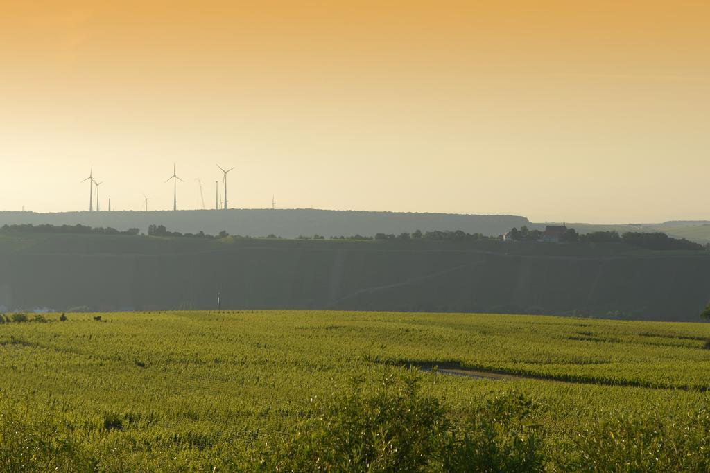 فندق Vogelsburg Escherndorf المظهر الخارجي الصورة
