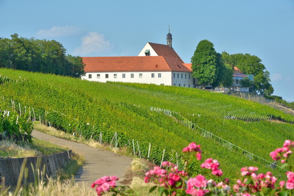 فندق Vogelsburg Escherndorf المظهر الخارجي الصورة