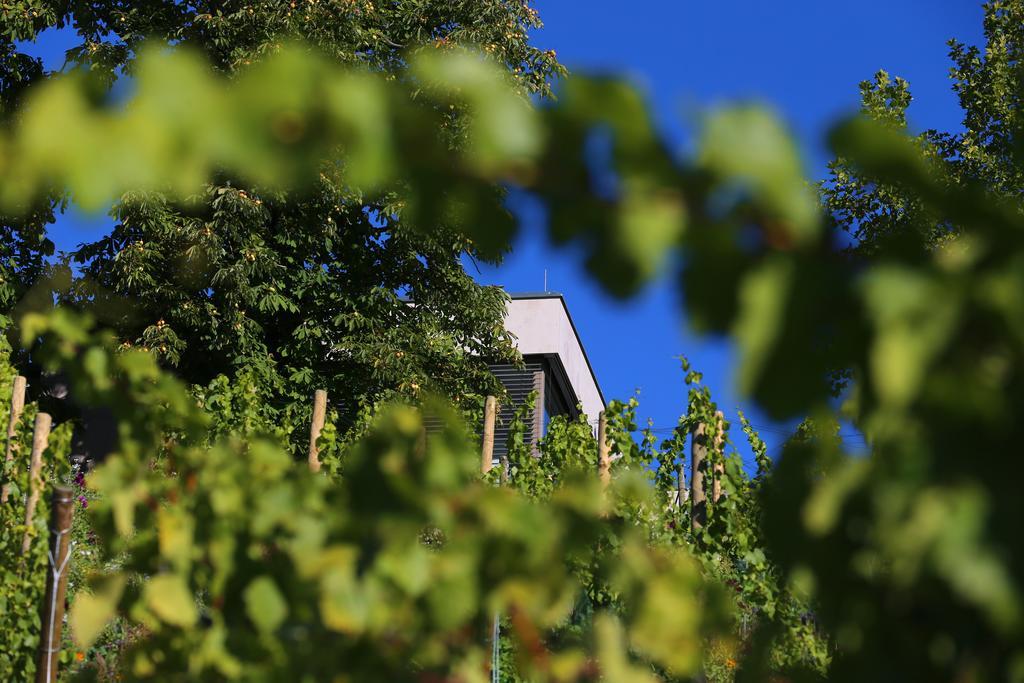 فندق Vogelsburg Escherndorf المظهر الخارجي الصورة