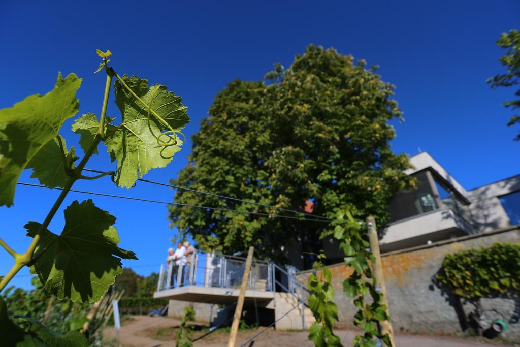 فندق Vogelsburg Escherndorf المظهر الخارجي الصورة