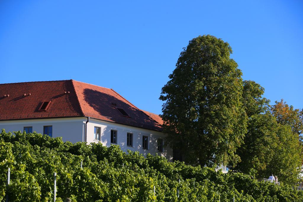 فندق Vogelsburg Escherndorf المظهر الخارجي الصورة