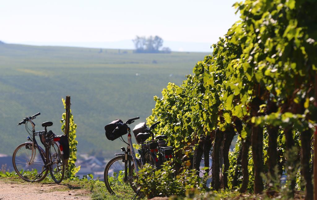 فندق Vogelsburg Escherndorf المظهر الخارجي الصورة