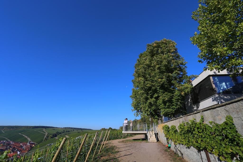 فندق Vogelsburg Escherndorf المظهر الخارجي الصورة